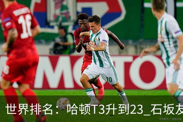 世界排名：哈顿T3升到23 石坂友宏日巡首胜412位