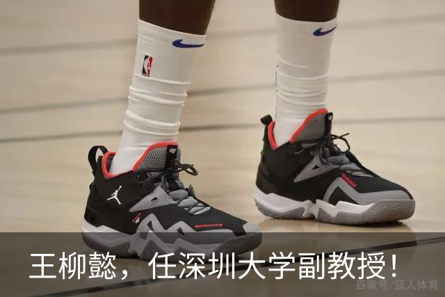 王柳懿，任深圳大学副教授！
