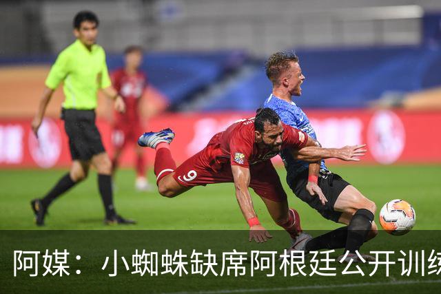 阿媒：小蜘蛛缺席阿根廷公开训练，他可能在第二场友谊赛中出场