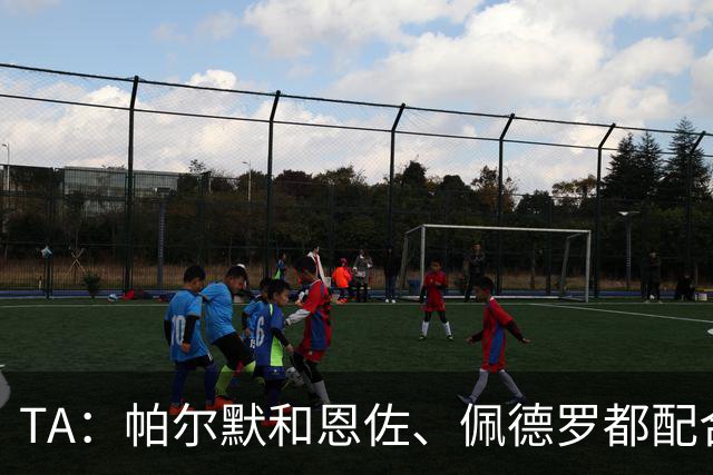 TA：帕尔默和恩佐、佩德罗都配合不畅，阿隆索需要让帕尔默复苏